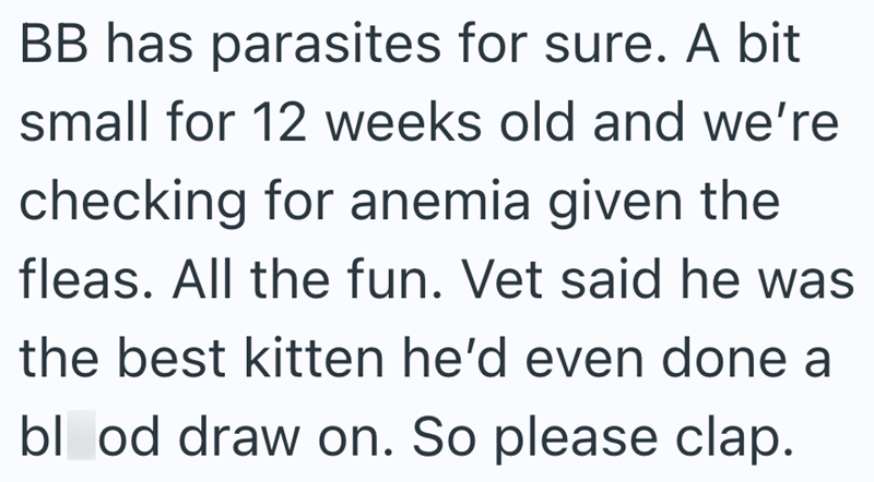 BB has parasites for sure. A bit small for 12 weeks old and we're checking for anemia given the fleas. All the fun. Vet said he was the best kitten he'd even done a blood draw on. So please clap.