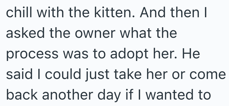 chill with the kitten. And then I asked the owner what the process was to adopt her. He said I could just take her or come back another day if I wanted to
