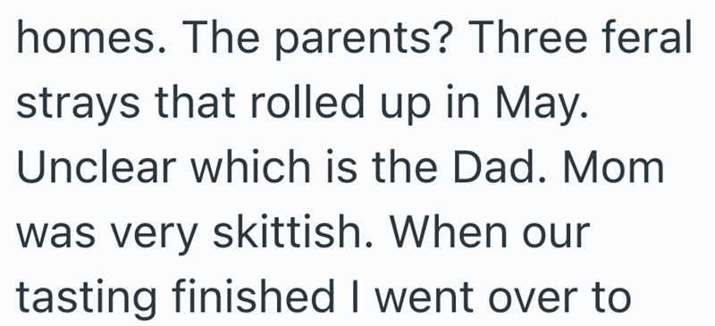 homes. The parents? Three feral strays that rolled up in May. Unclear which is the Dad. Mom was very skittish. When our tasting finished I went over to