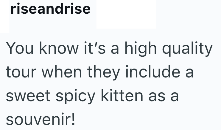 riseandrise You know it's a high quality tour when they include a sweet spicy kitten as a souvenir!