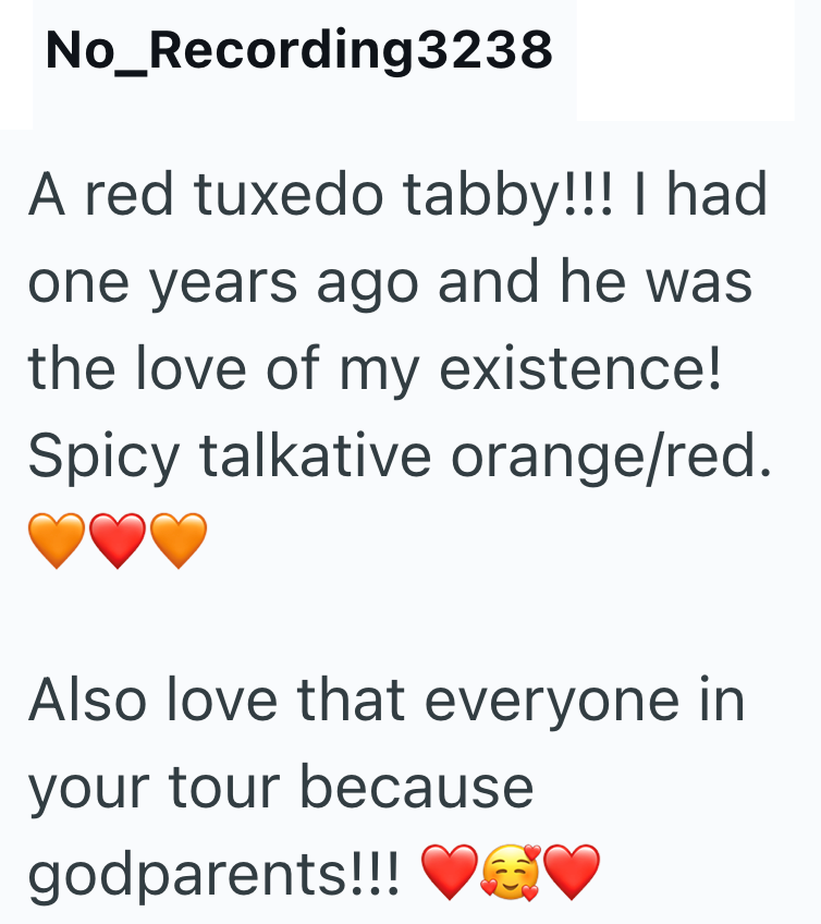 No_Recording3238 A red tuxedo tabby!!! I had one years ago and he was the love of my existence! Spicy talkative orange/red. Also love that everyone in your tour because godparents!!!