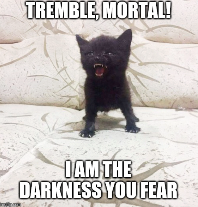 TREMBLE, MORTAL! imgflip.com I AM THE DARKNESS YOU FEAR