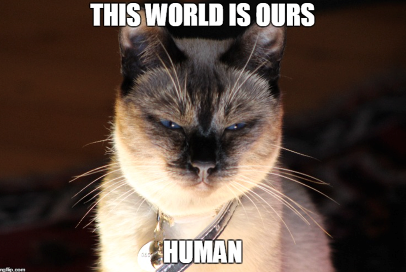 ngflip.com THIS WORLD IS OURS 060 *HUMAN