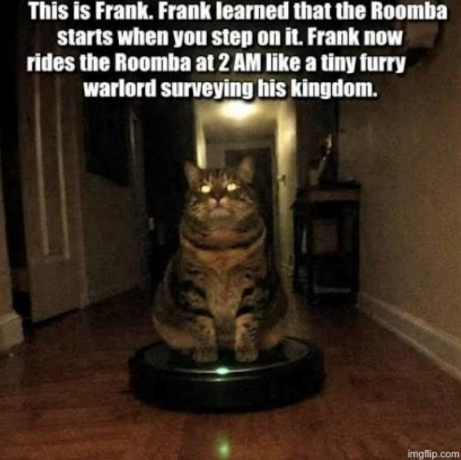 This is Frank. Frank learned that the Roomba starts when you step on it. Frank now rides the Roomba at 2 AM like a tiny furry warlord surveying his kingdom. imgflip.com