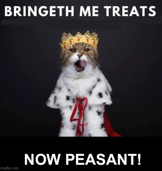BRINGETH ME TREATS imgflip.com NOW PEASANT!