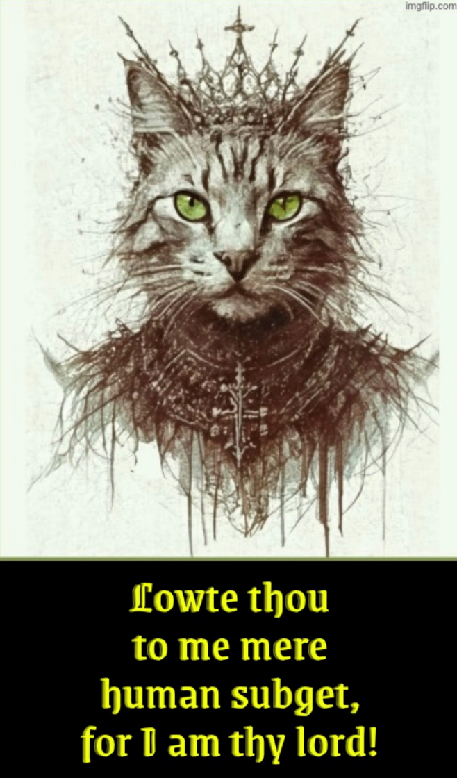 Lowte thou to me mere human subget, for I am thy lord! imgflip.com