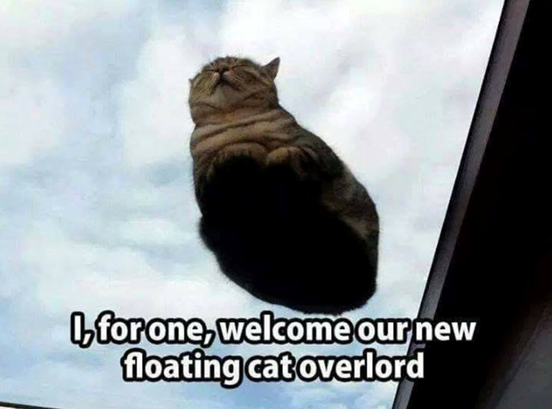 I, for one, welcome our new floating cat overlord