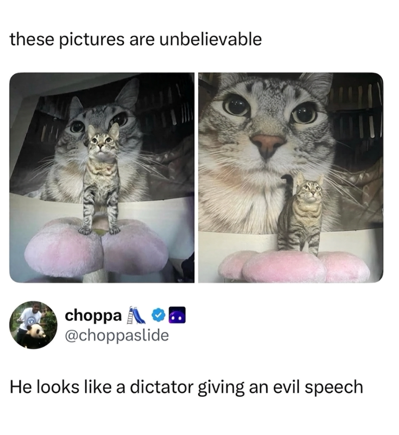 these pictures are unbelievable choppa .. @choppaslide He looks like a dictator giving an evil speech