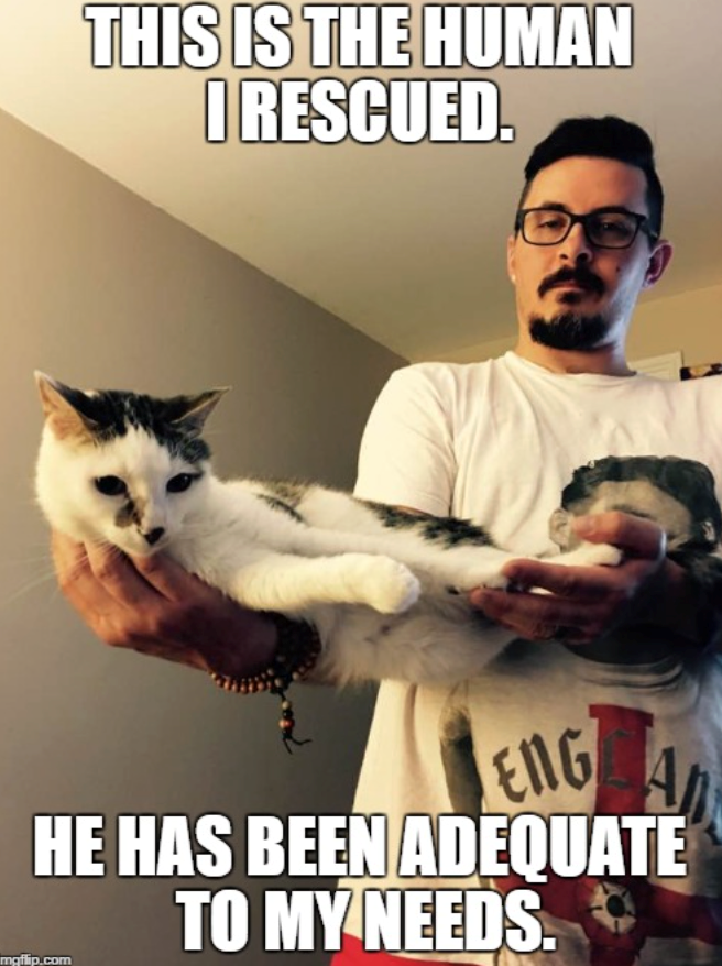 THIS IS THE HUMAN I RESCUED. ENG AD HE HAS BEEN ADEQUATE mgflip.com TO MY NEEDS.