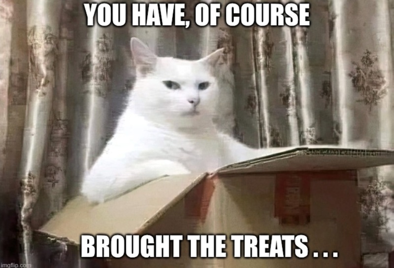 YOU HAVE, OF COURSE imgflip.com BROUGHT THE TREATS...
