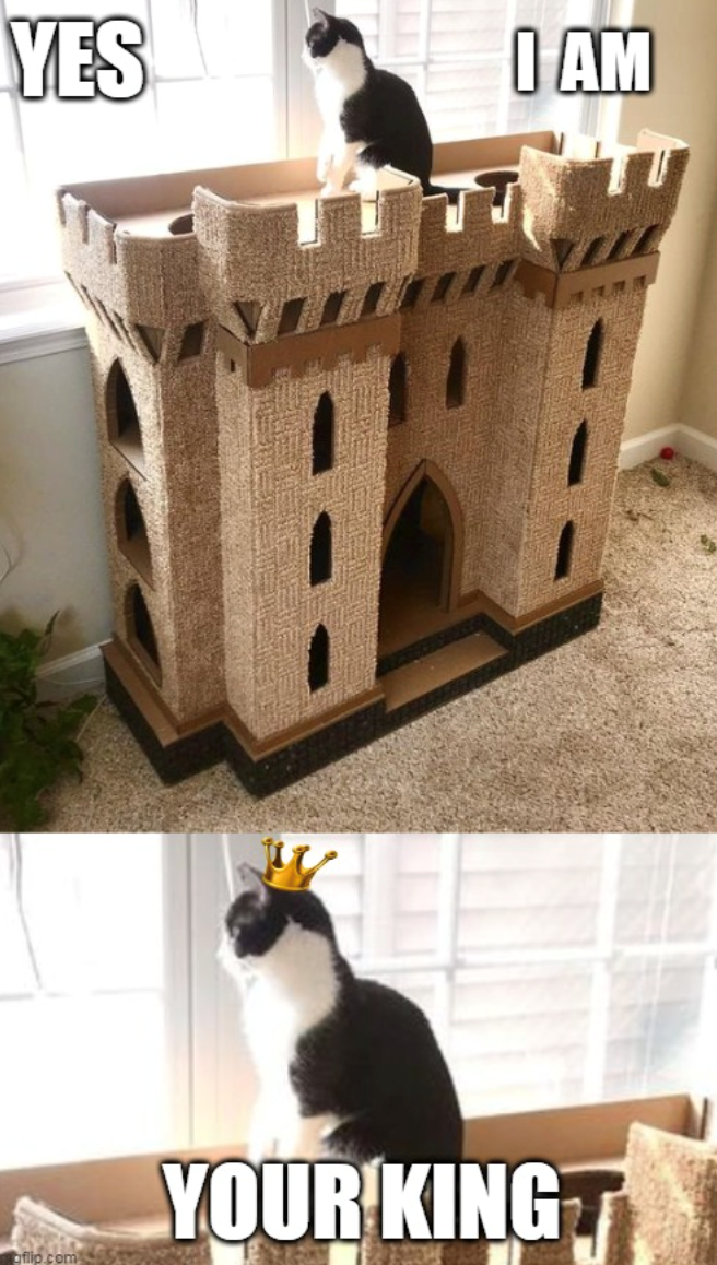 YES I AM aflip.com YOUR KING+