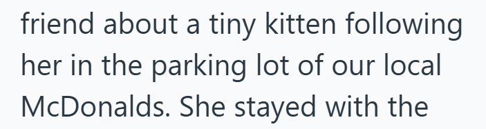 friend about a tiny kitten following her in the parking lot of our local McDonalds. She stayed with the