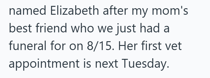 named Elizabeth after my mom's best friend who we just had a funeral for on 8/15. Her first vet appointment is next Tuesday.