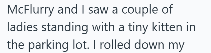 McFlurry and I saw a couple of ladies standing with a tiny kitten in the parking lot. I rolled down my