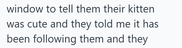 window to tell them their kitten was cute and they told me it has been following them and they