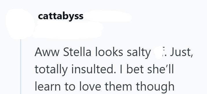cattabyss Aww Stella looks salty. Just, totally insulted. I bet she'll learn to love them though