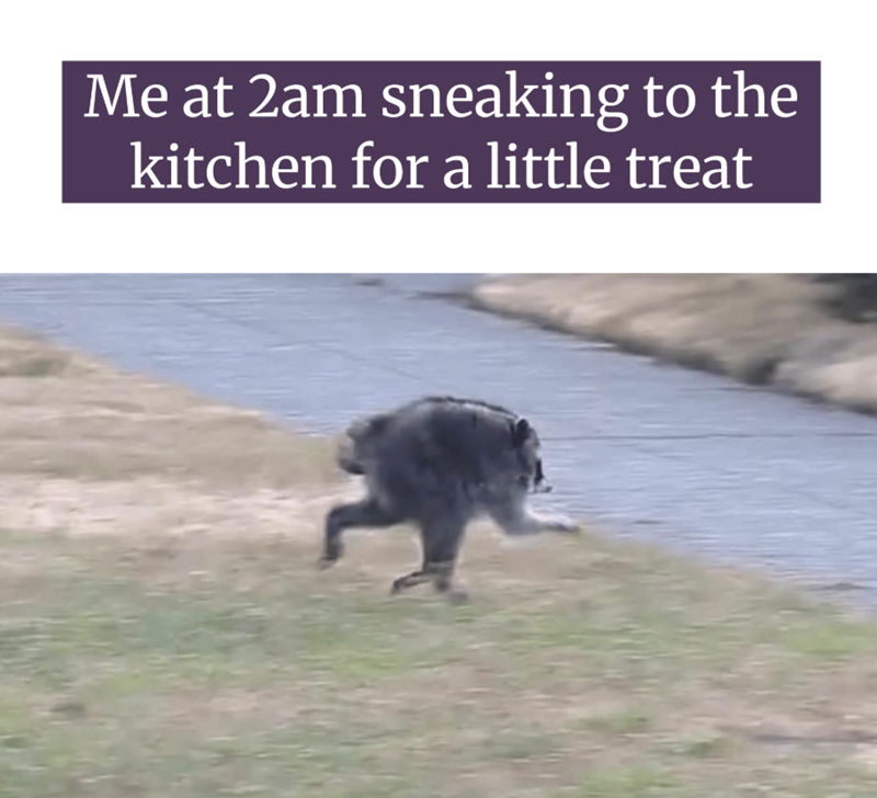Me at 2am sneaking to the kitchen for a little treat
