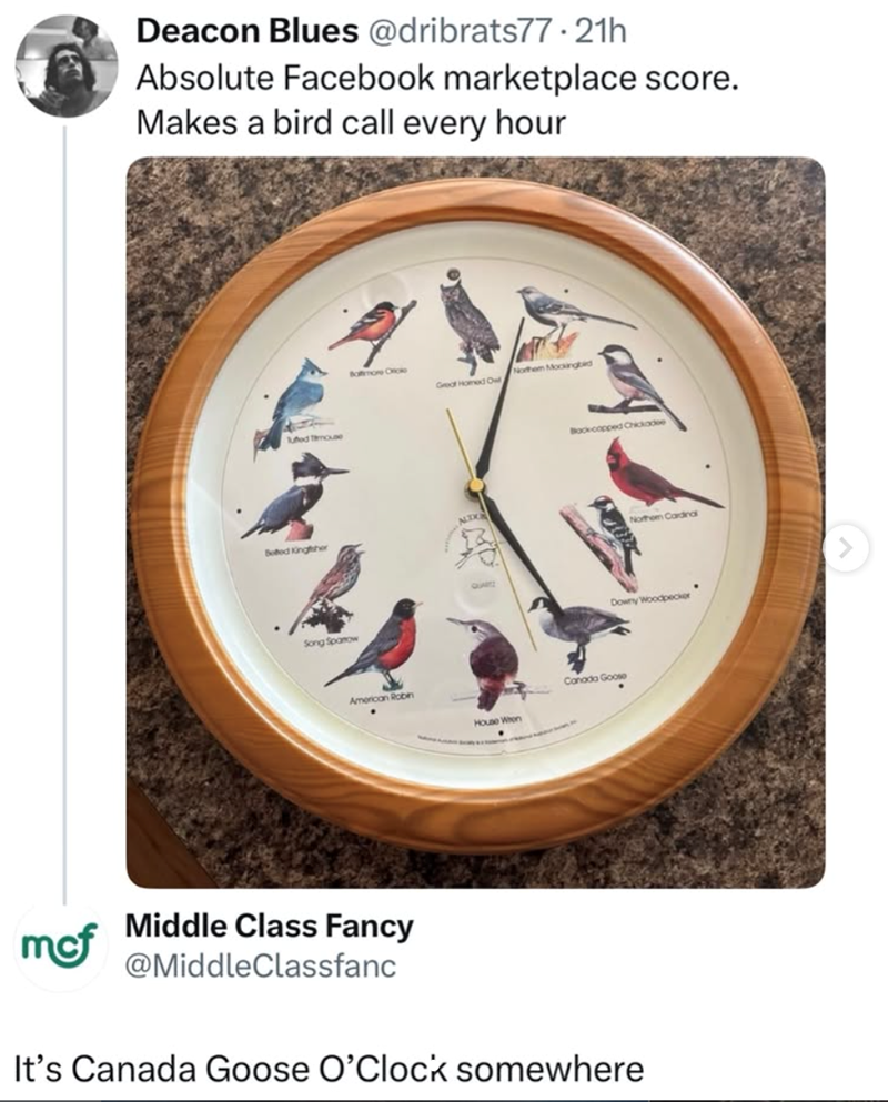 Deacon Blues @dribrats77.21h Absolute Facebook marketplace score. Makes a bird call every hour fed mouse Boted Kingsher Song Spanow Bottimore Oriole American Robin Middle Class Fancy mcf @MiddleClassfanc Northem Mockingbid Great Homed Of Bockcopped Chickadee Northem Cardina QUARTZ Downy Woodpecker Canada Goose House When It's Canada Goose O'Clock somewhere