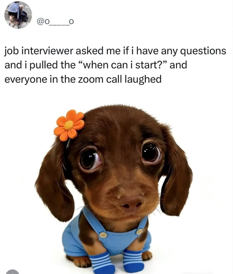 job interviewer asked me if i have any questions and i pulled the "when can i start?" and everyone in the zoom call laughed