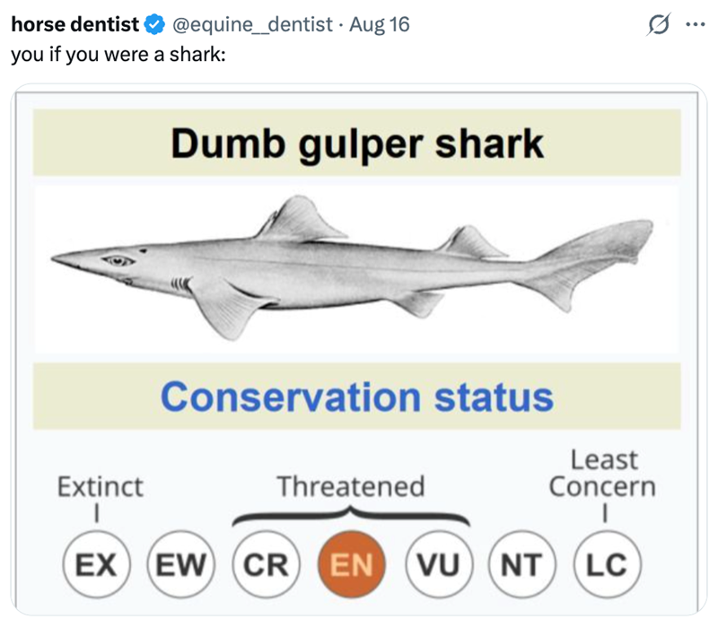 horse dentist @equine_dentist - Aug 16 you if you were a shark: Extinct Dumb gulper shark Conservation status Threatened Least Concern EX EW CR EN VU (NT LC ...