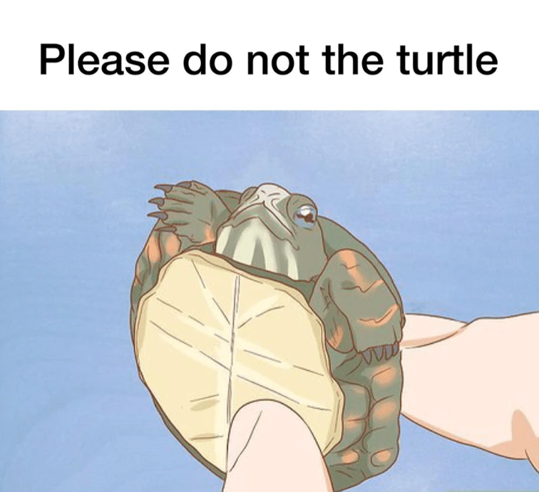 Please do not the turtle