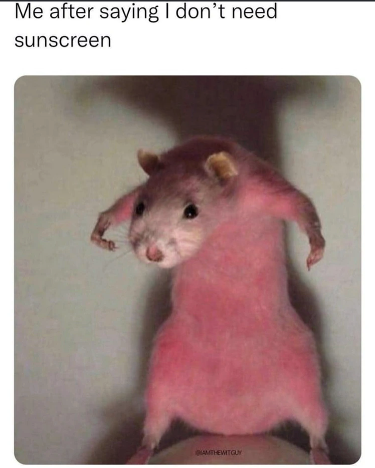 Me after saying I don't need sunscreen GLAMTHEWITGUY