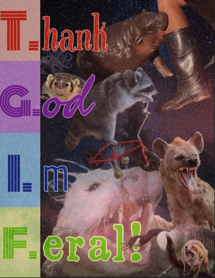 Thank or Feral!