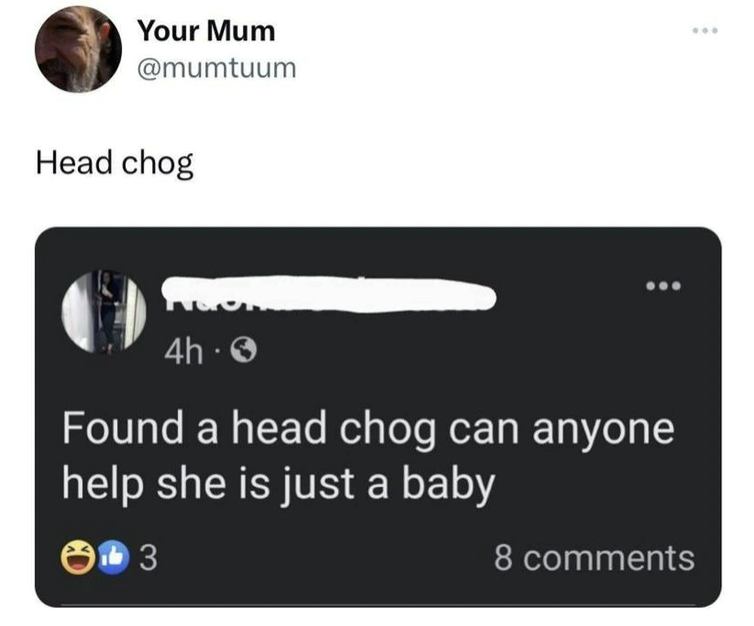 Your Mum @mumtuum Head chog 4h -> Found a head chog can anyone help she is just a baby 13 8 comments