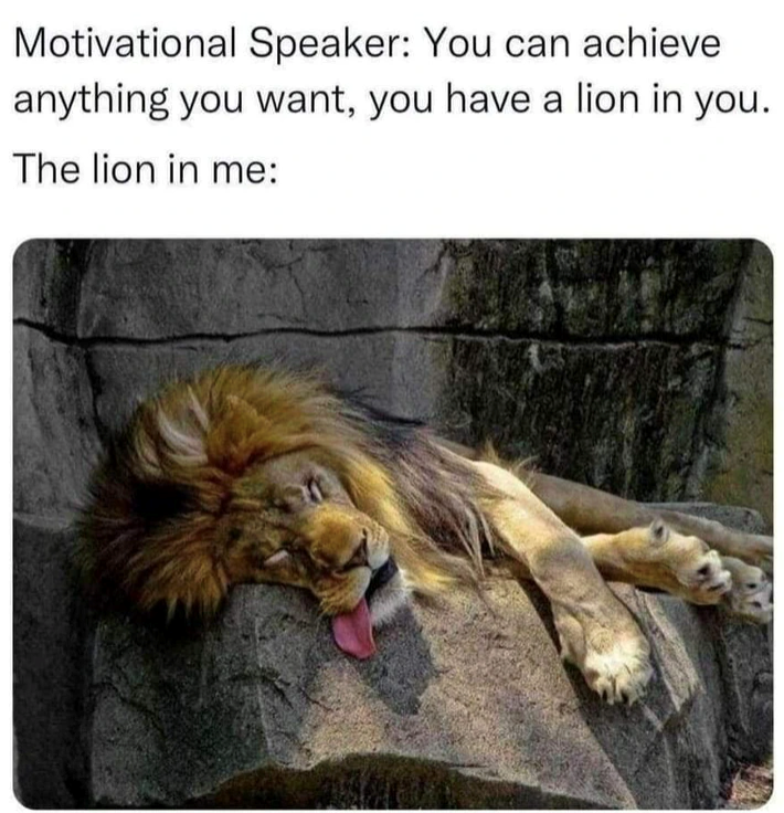 Motivational Speaker: You can achieve anything you want, you have a lion in you. The lion in me: