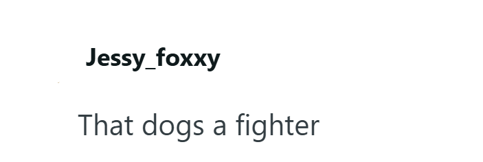 Jessy_foxxy That dogs a fighter
