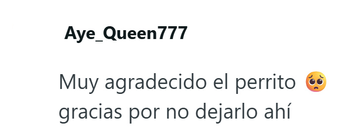 Aye Queen777 Muy agradecido el perrito gracias por no dejarlo ahí