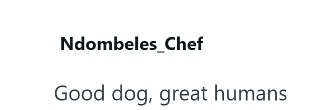Ndombeles_Chef Good dog, great humans
