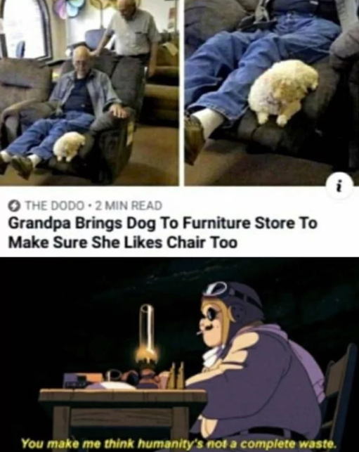 THE DODO 2 MIN READ Grandpa Brings Dog To Furniture Store To Make Sure She Likes Chair Too You make me think humanity's not a complete waste.