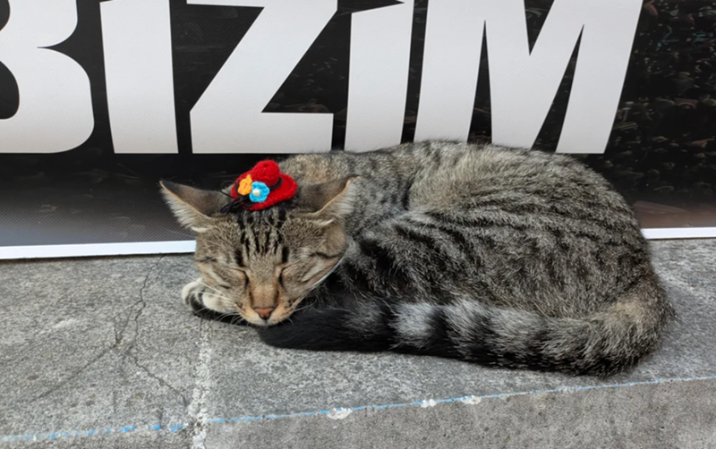 IZIM