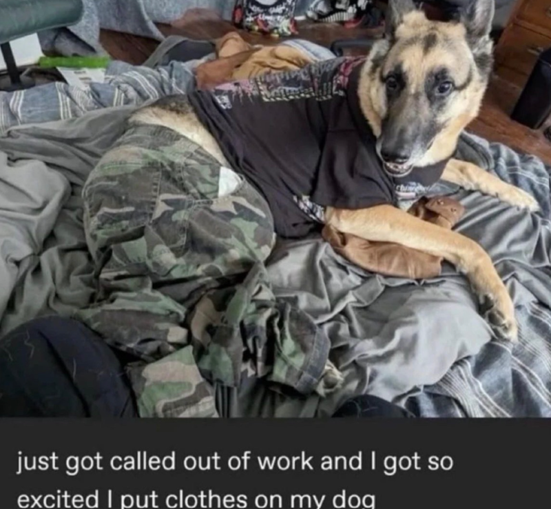 just got called out of work and I got so excited I put clothes on my dog