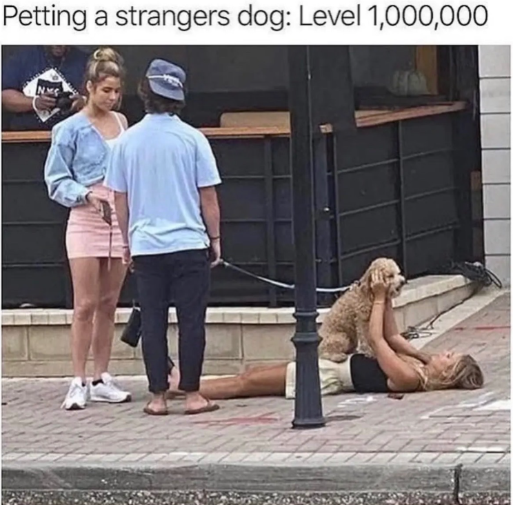Petting a strangers dog: Level 1,000,000 NM