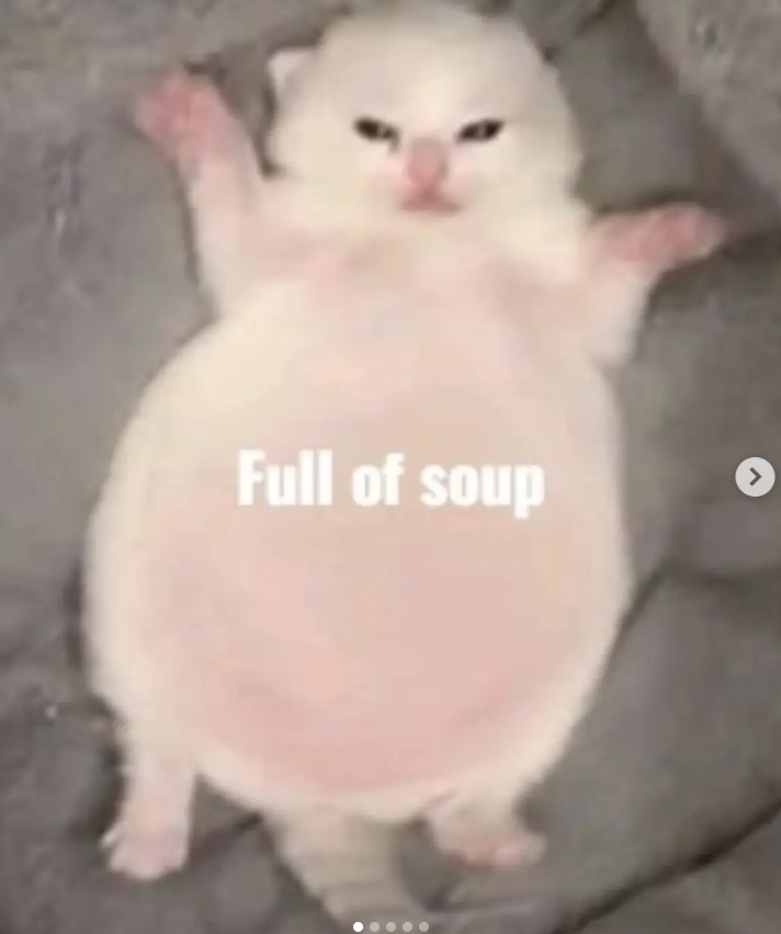 Full of soup >