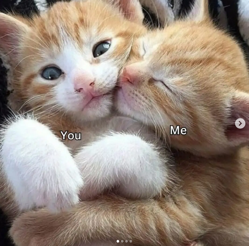 > You Me
