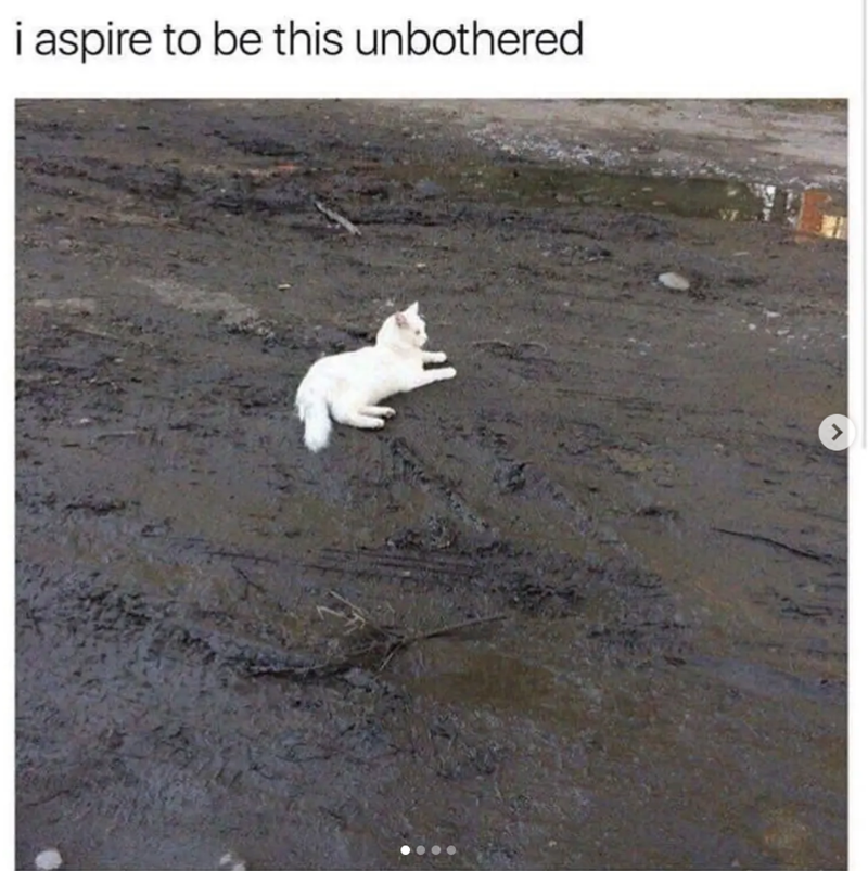 i aspire to be this unbothered >