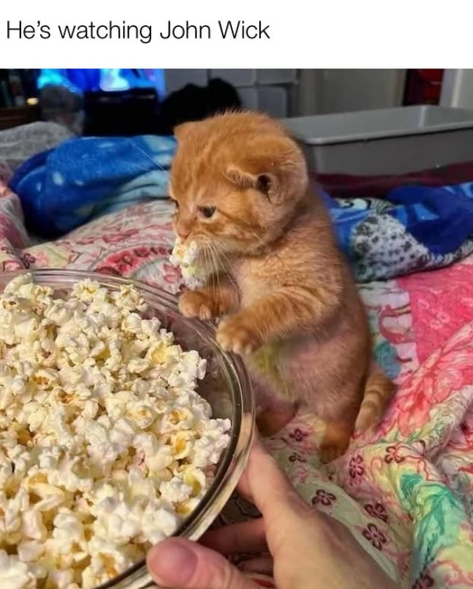 He's watching John Wick £3