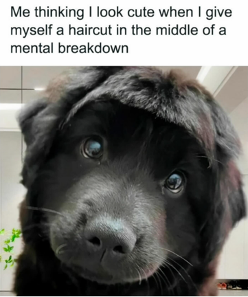 Me thinking I look cute when I give myself a haircut in the middle of a mental breakdown