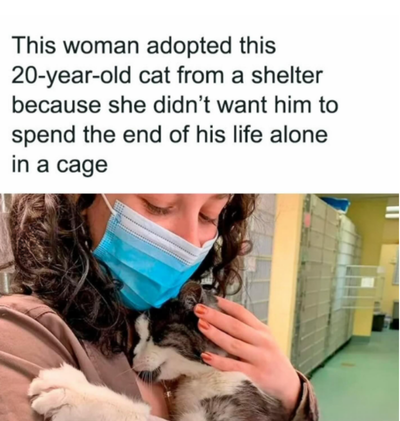 This woman adopted this 20-year-old cat from a shelter because she didn't want him to spend the end of his life alone in a cage