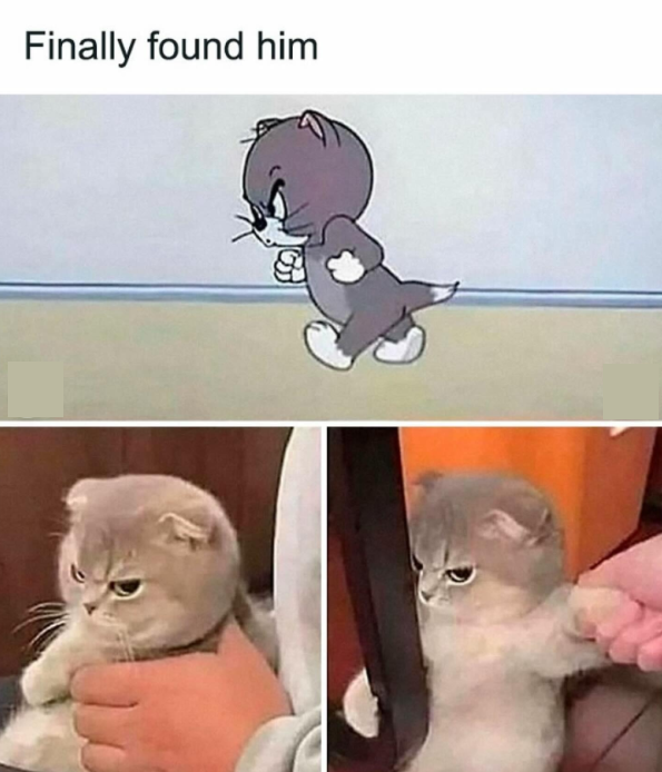 Finally found him