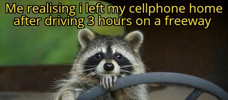 Me realising i left my cellphone home after driving 3 hours on a freeway