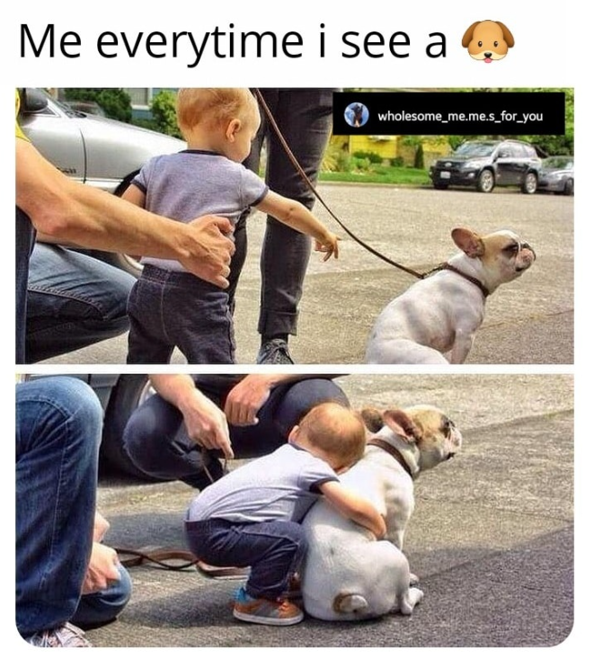 Me everytime i see a wholesome_me.me.s_for_you