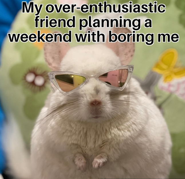 My over-enthusiastic friend planning a weekend with boring me