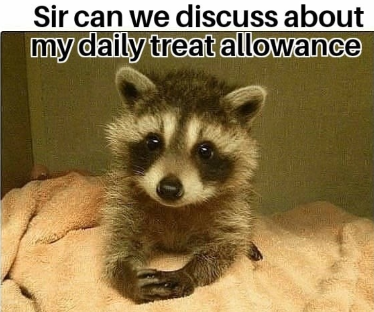 Sir can we discuss about my daily treat allowance
