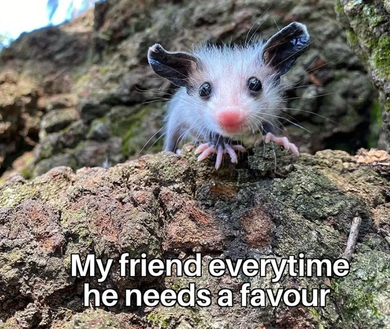 My friend everytime he needs a favour