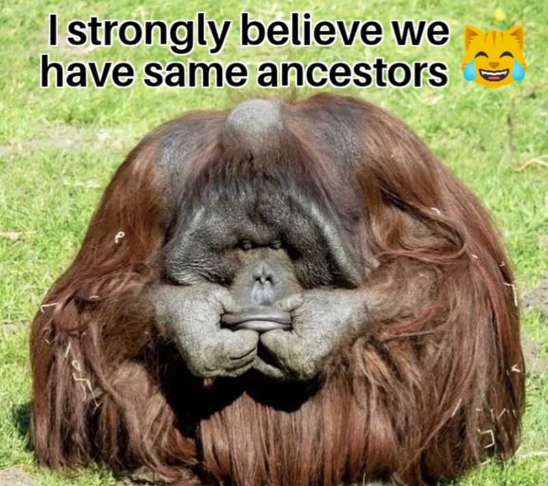 I strongly believe we have same ancestors