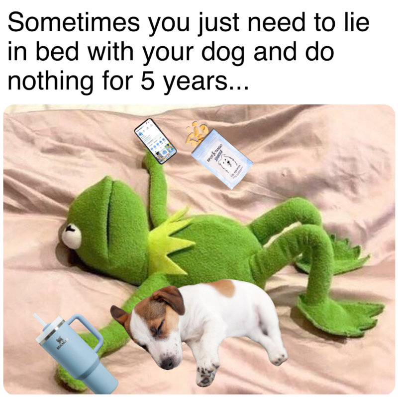 STANLY Sometimes you just need to lie in bed with your dog and do nothing for 5 years... 1000 SPOT & TANGO SANNS
